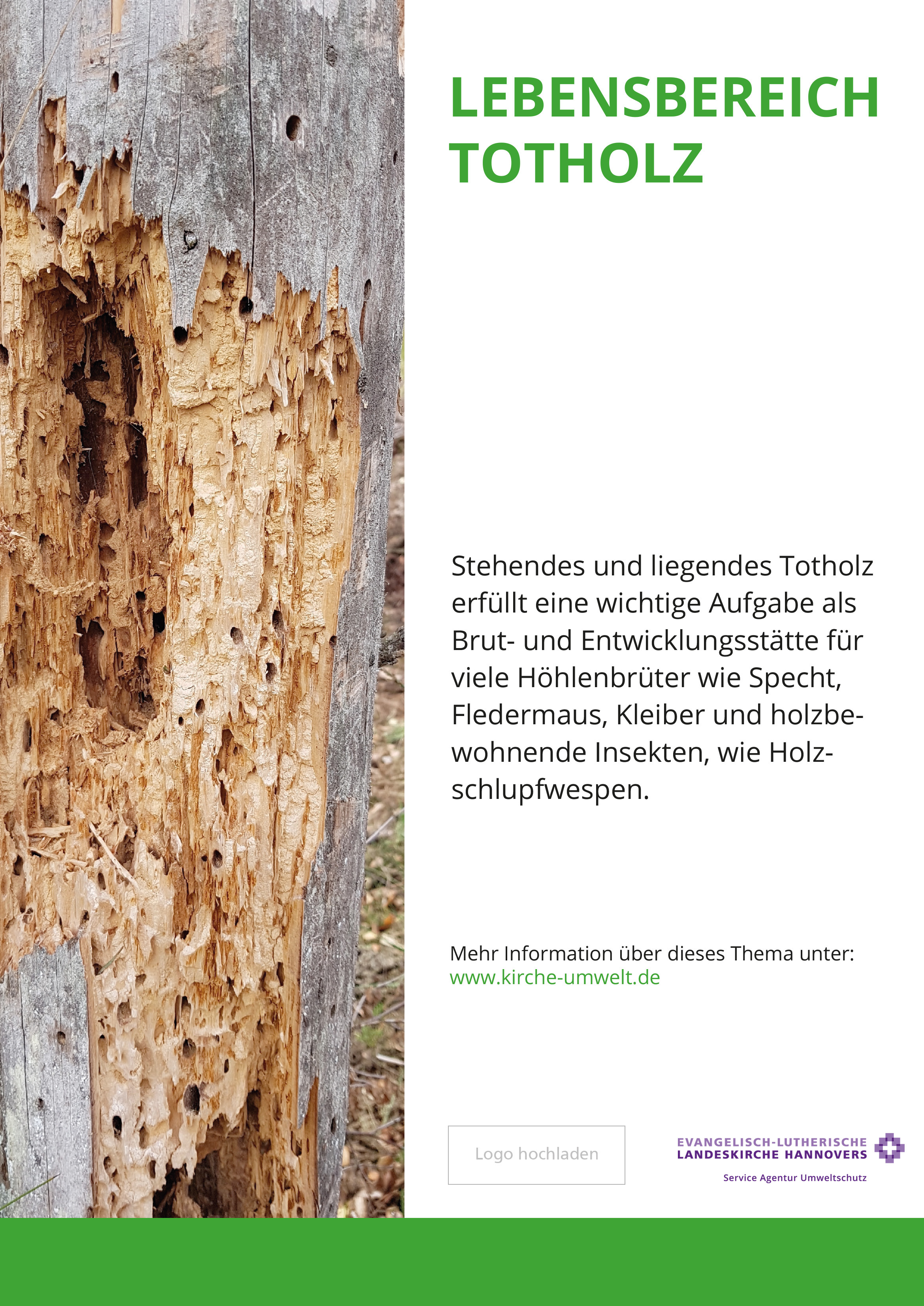 11308_Web-to-Print_Schilder-Friedhof_297x420mm_A3_RZ_HkDLogo_1 Themenschild Biodiversität - 300x400mm Hochformat