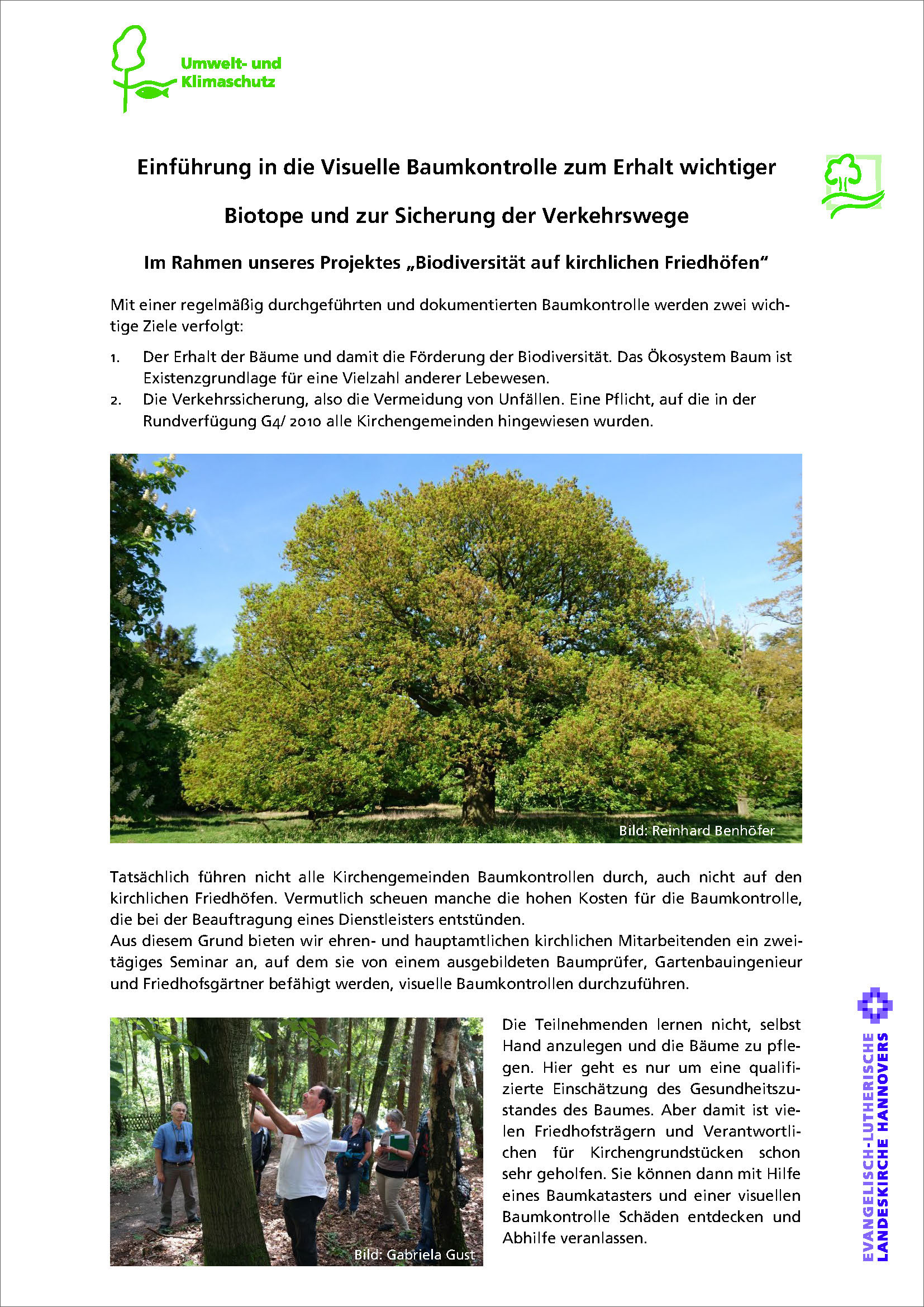 12-300038 Informationsblatt Visuelle Baumkontrolle – PDF-Version