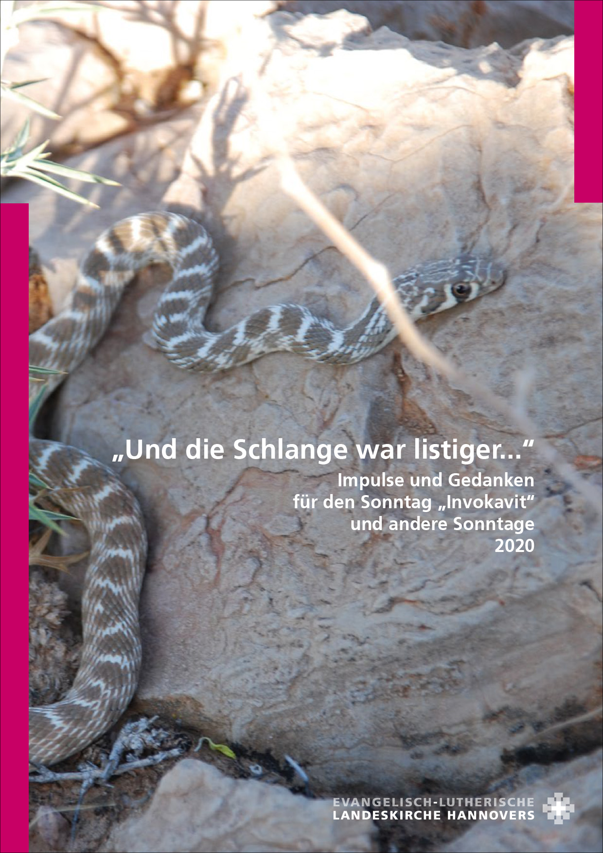12-600078 Und die Schlange war listiger
