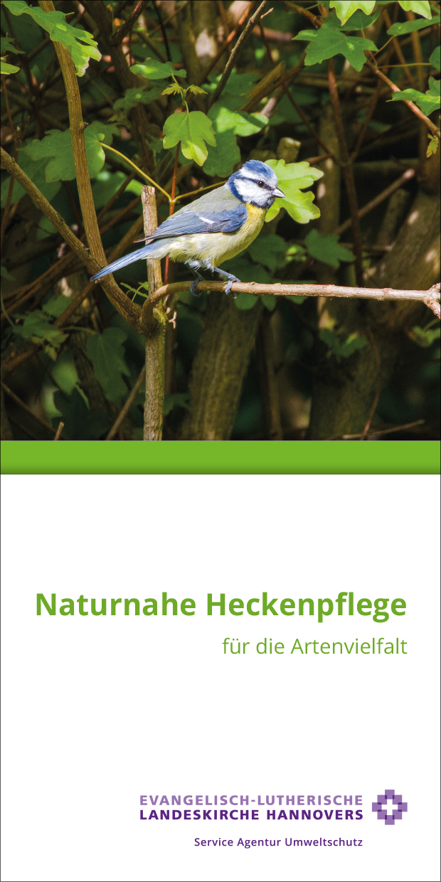 Naturnahe Heckenpflege für die Artenvielfalt Naturnahe Heckenpflege für die Artenvielfalt