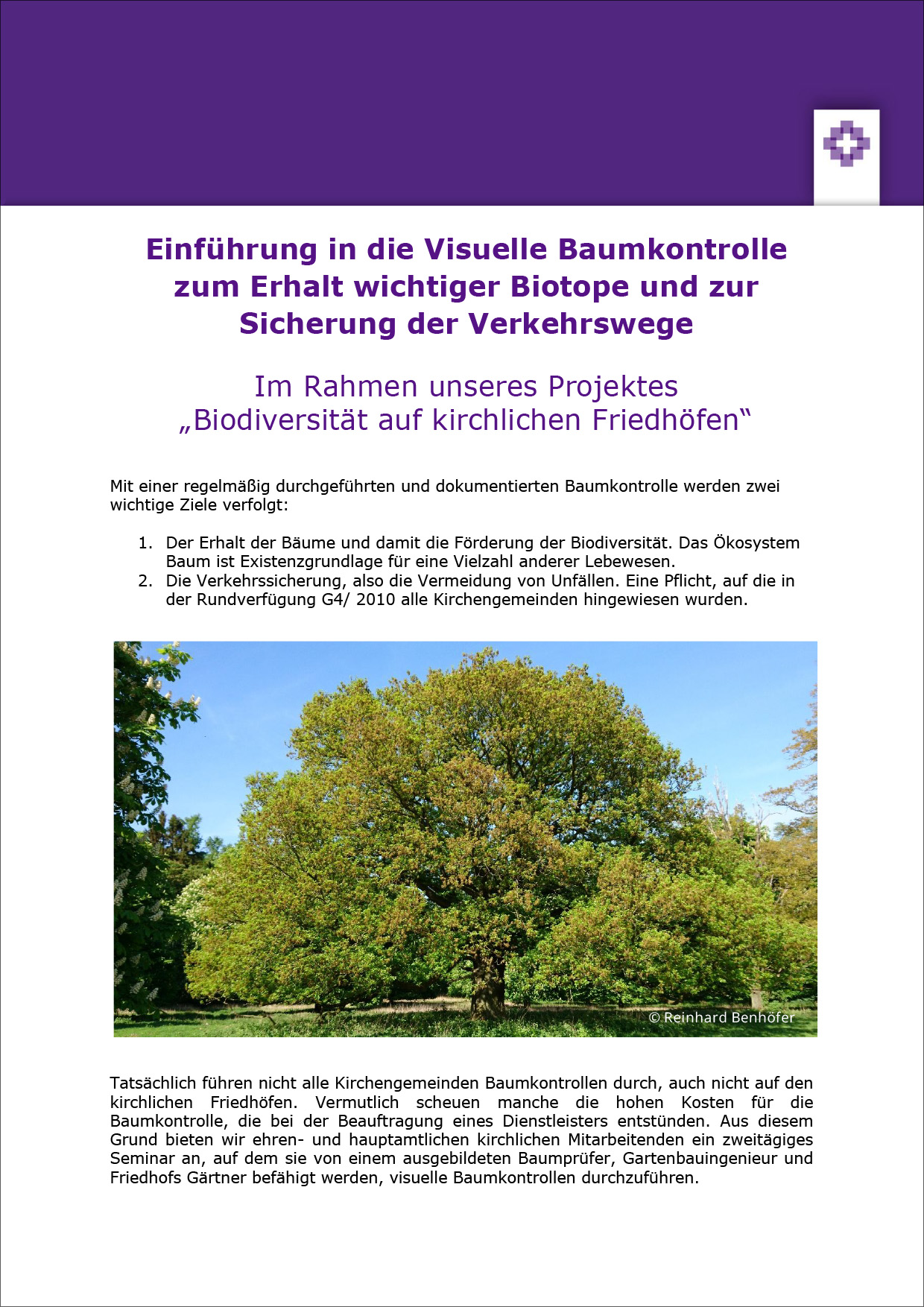 Informationsblatt Visuelle Baumkontrolle – PDF-Version