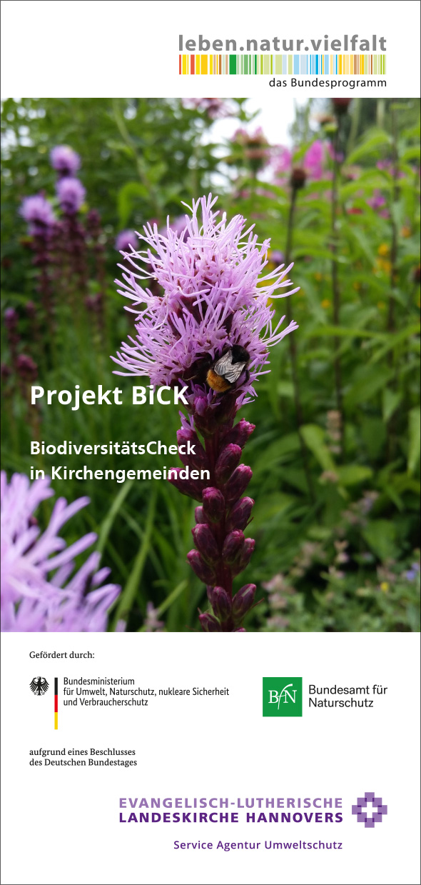 12-300048_2025 Projekt BiCK