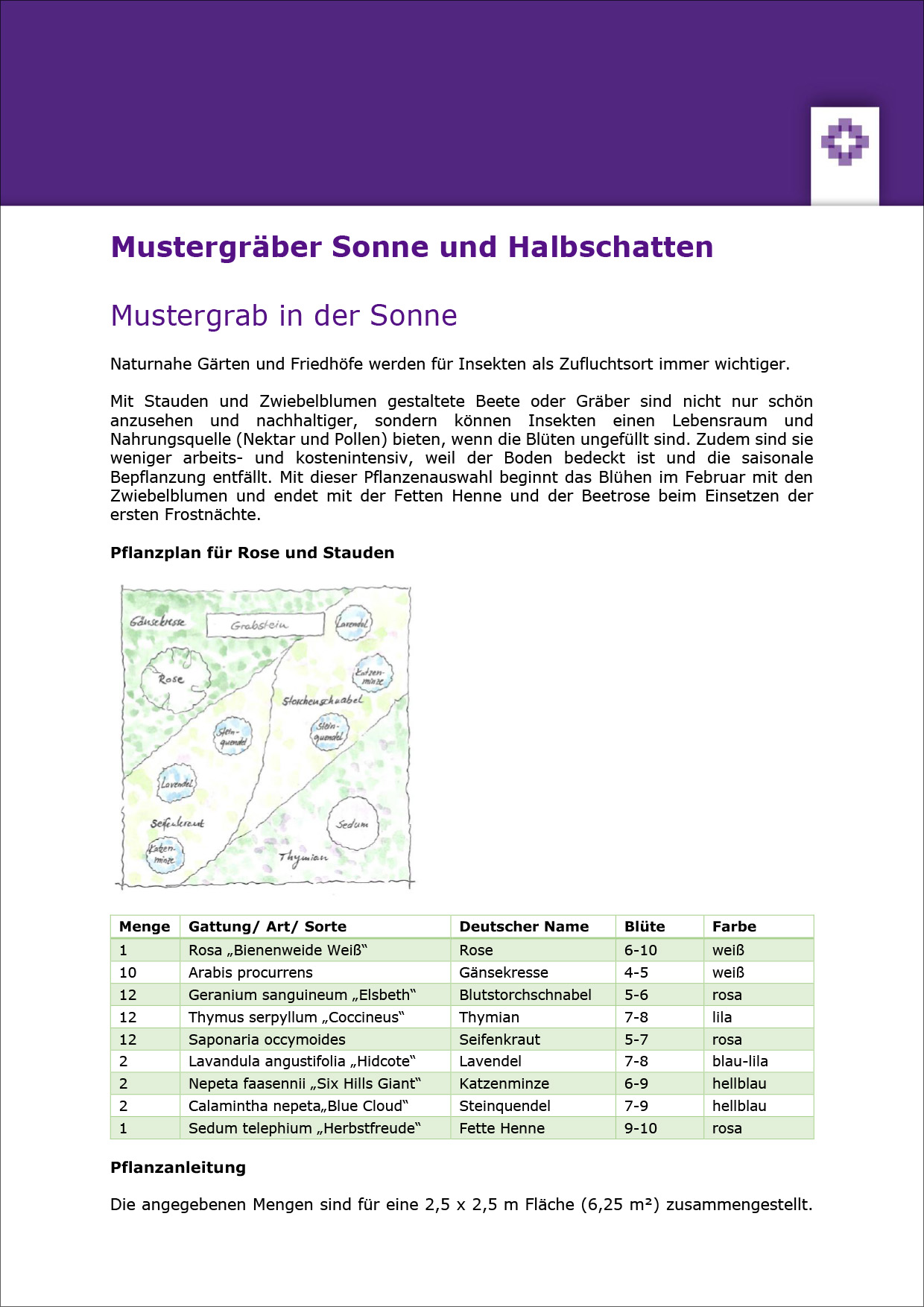 Informationsblatt Mustergräber Sonne und Halbschatten - PDF-Version