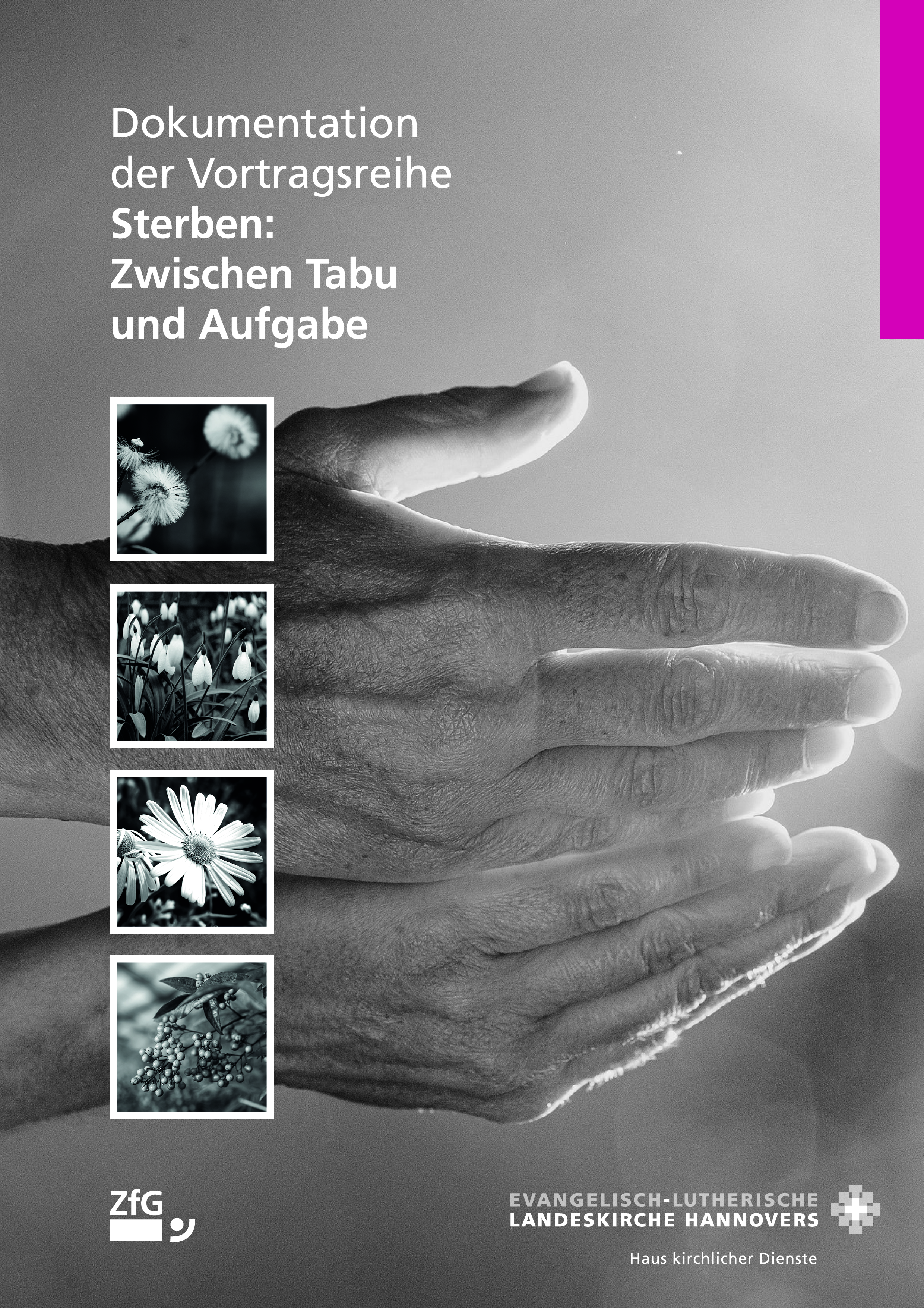 12-450041 Dokumentation der Vortragsreihe „Sterben: Zwischen Tabu und Aufgabe“ – PDF-Version