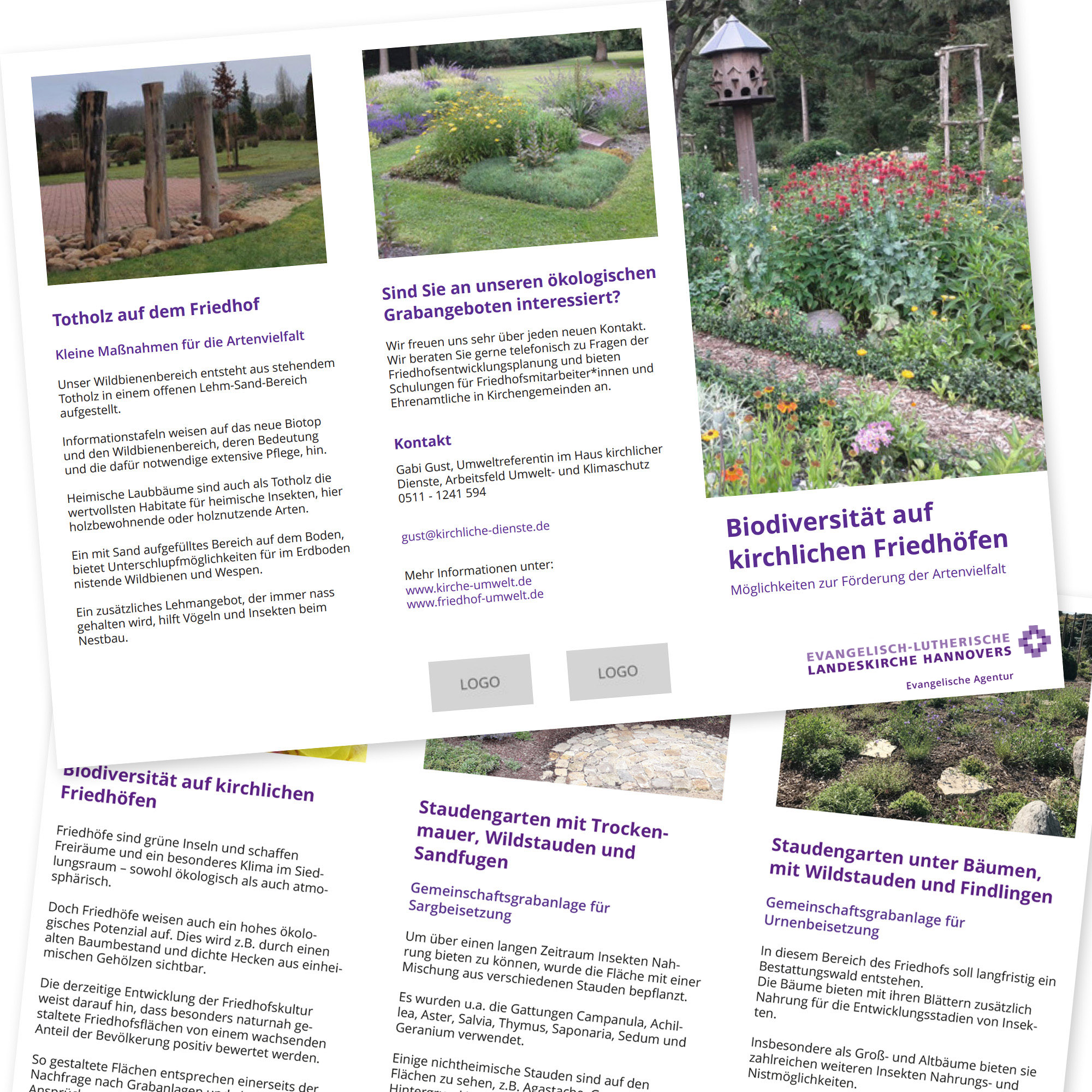 Themenflyer Friedhof - Biodiversität