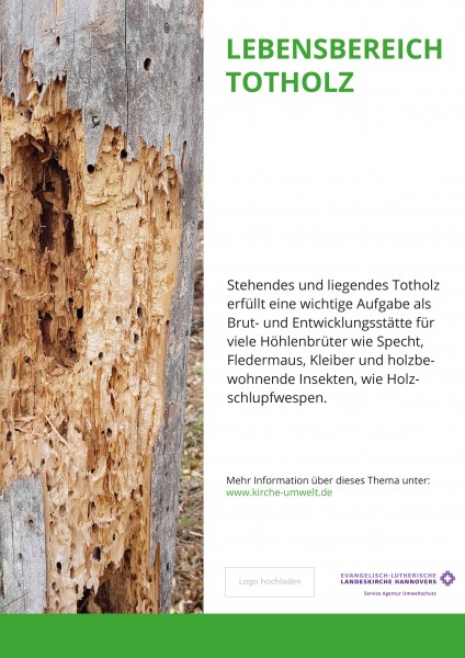 Themenschild Biodiversität - 300x400mm Hochformat